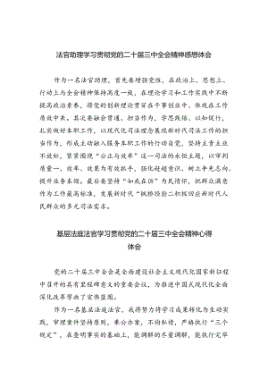 法官助理学习贯彻党的二十届三中全会精神感想体会5篇（详细版）.docx