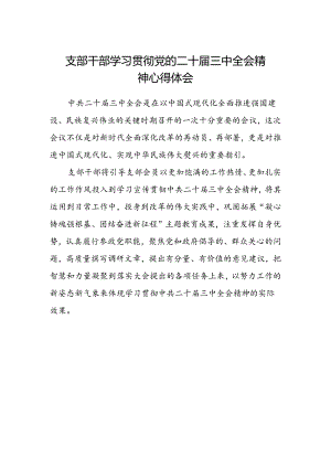 支部干部学习贯彻党的二十届三中全会精神心得体会.docx