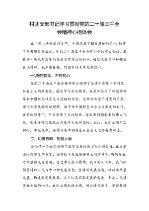 村团支部书记学习贯彻党的二十届三中全会精神心得体会范本.docx