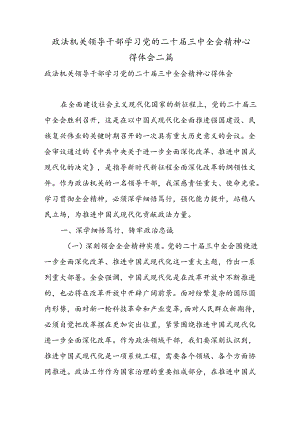 政法机关领导干部学习党的二十届三中全会精神心得体会二篇.docx