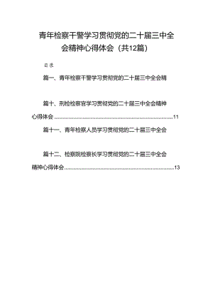 青年检察干警学习贯彻党的二十届三中全会精神心得体会（共12篇选择）.docx