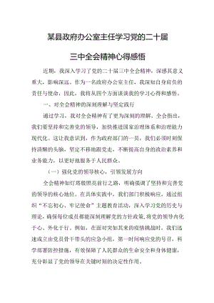 某县政府办公室主任学习党的二十届三中全会精神心得感悟.docx