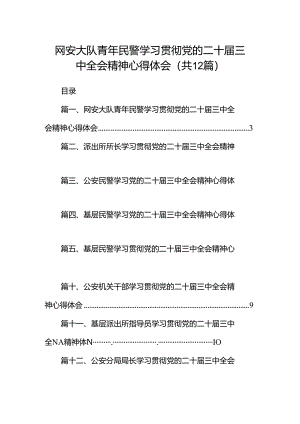 网安大队青年民警学习贯彻党的二十届三中全会精神心得体会12篇（精选）.docx
