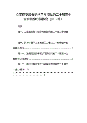 立案庭支部书记学习贯彻党的二十届三中全会精神心得体会（共12篇）.docx