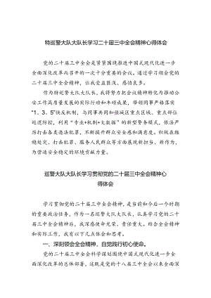 特巡警大队大队长学习二十届三中全会精神心得体会8篇供参考.docx
