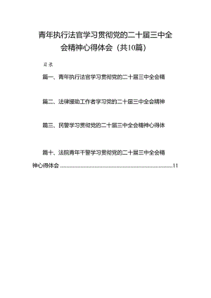 青年执行法官学习贯彻党的二十届三中全会精神心得体会10篇（精选版）.docx