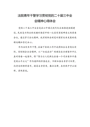 法院青年干警学习贯彻党的二十届三中全会精神心得体会 .docx