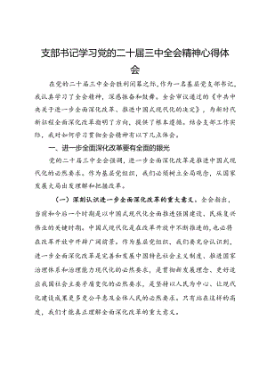 支部书记学习党的二十届三中全会精神心得体会.docx