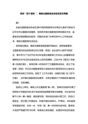 抓好“四个坚持”确保主题教育走深走实范文两篇.docx