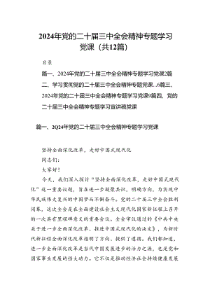 （12篇）2024年党的二十届三中全会精神专题学习党课最新.docx
