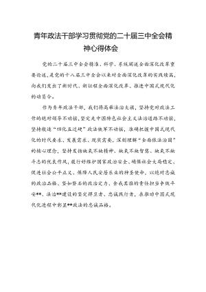 青年政法干部学习贯彻党的二十届三中全会精神心得体会.docx