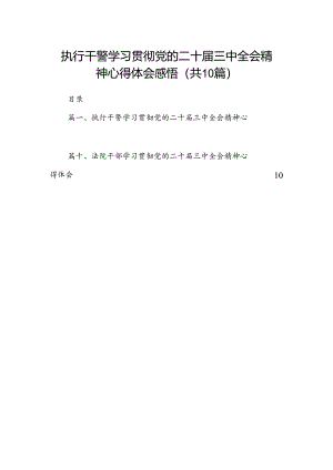 执行干警学习贯彻党的二十届三中全会精神心得体会感悟10篇（精选版）.docx