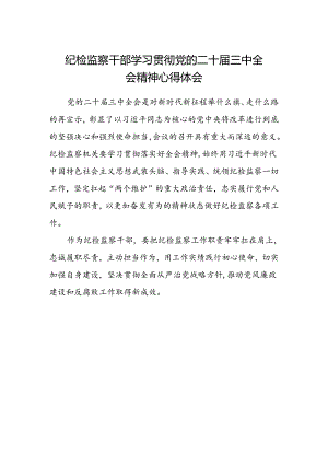 纪检监察干部学习贯彻党的二十届三中全会精神心得体会范本 .docx