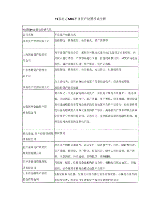 19家地方AMC不良资产处置模式全解.docx