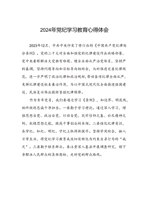 青年党员2024年党纪学习教育心得体会九篇.docx