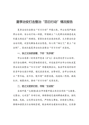 九篇2024年公安开展夏季治安打击整治行动工作汇报.docx