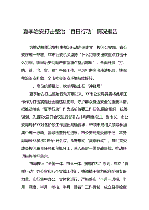 派出所2024年公安夏季治安打击整治行动情况汇报七篇.docx