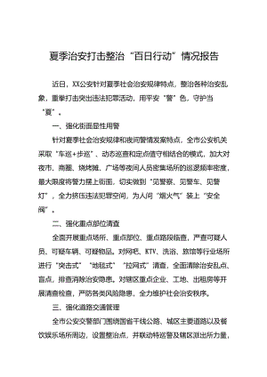 公安夏季治安打击整治行动总结报告2024年十二篇.docx