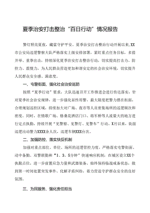 2024年持续推进夏季治安打击整治行动情况报告20篇.docx