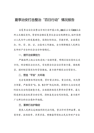 派出所开展2024年夏季治安打击整治行动情况报告三篇.docx