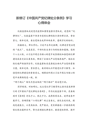 纪检干部关于2024新修订中国共产党纪律处分条例的心得体会十三篇.docx