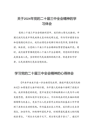 关于2024年党的二十届三中全会精神的学习体会四十四篇.docx