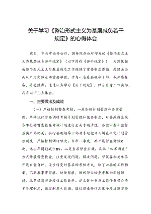 党员干部关于学习《整治形式主义为基层减负若干规定》的心得体会10篇.docx