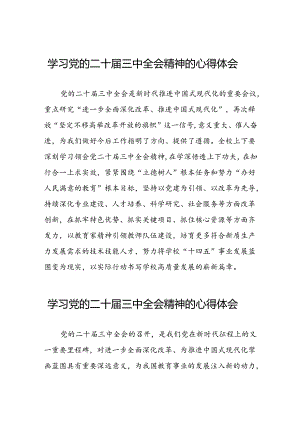 (精选)学习2024年党的二十届三中全会精神的心得体会三十篇.docx