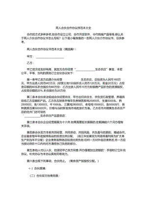 两人合伙合作协议书范本大全.docx