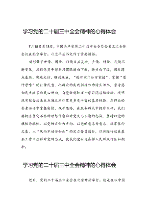 学习党的二十届三中全会精神的心得感悟简短发言三十篇.docx