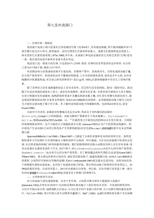 丝壶菌门Hyphochytriornycota.docx