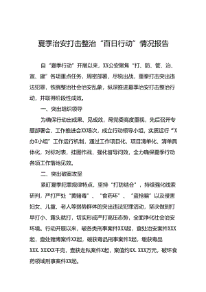 2024年夏季治安打击整治行动情况汇报(十一篇).docx