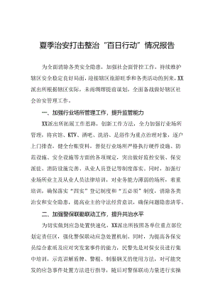 派出所2024年夏季治安打击整治行动总结报告17篇.docx