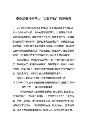 2024年公安机关夏季治安打击整治行动情况报告(十篇).docx