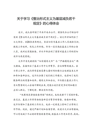 《整治形式主义为基层减负若干规定》学习心得七篇.docx