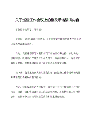 关于巡查工作会议上的整改承诺演讲内容.docx