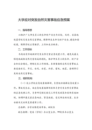大学应对突发自然灾害事故应急预案.docx