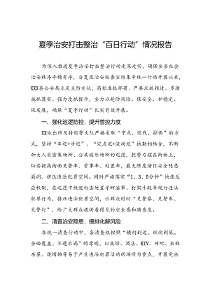 2024年公安夏季治安打击整治“百日行动”阶段性总结报告11篇.docx
