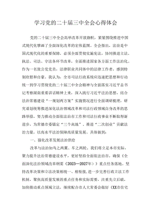 2024年学习学习党的二十届三中全会个人心得感悟 （16份）.docx