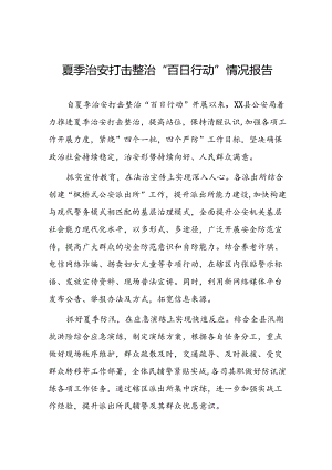 派出所2024年夏季治安打击整治行动总结报告三篇.docx