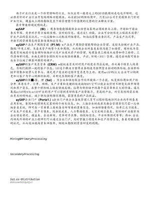 SAP公司及矿业解决方案简介.docx