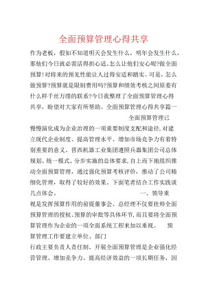 全面预算管理心得分享.docx