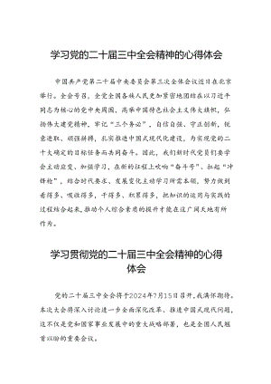 党员干部学习中国共产党第二十届中央委员会第三次全体会议精神心得体会十四篇.docx