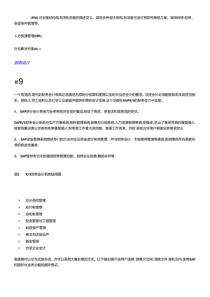 SAPSolution_R3ERP解决方案.docx
