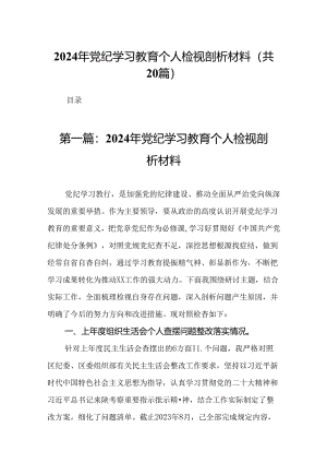 2024年党纪学习教育个人检视剖析材料（20篇）.docx