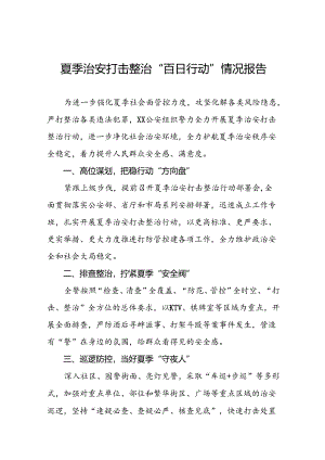 九篇2024年夏季治安打击整治行动工作总结.docx