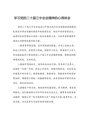 十五篇2024领导干部学习贯彻党的二十届三中全会精神心得体会精品.docx