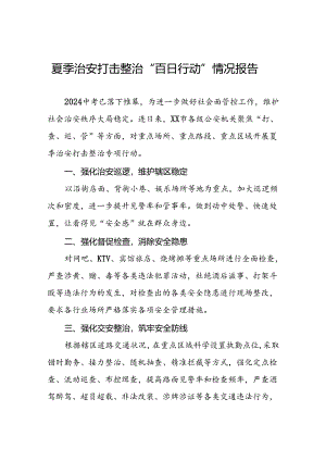 公安2024开展夏季治安打击整治行动总结报告三篇.docx