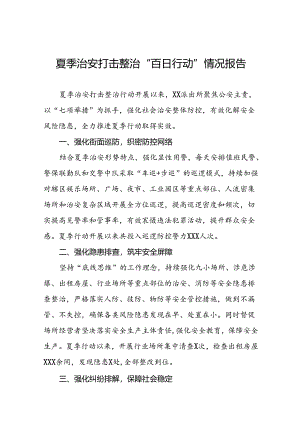 派出所2024年推动夏季治安打击整治行动工作总结17篇.docx