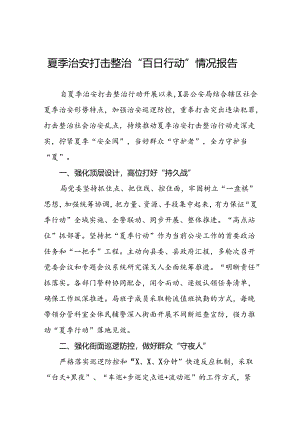 县公安推进2024年夏季治安打击整治行动工作总结19篇.docx